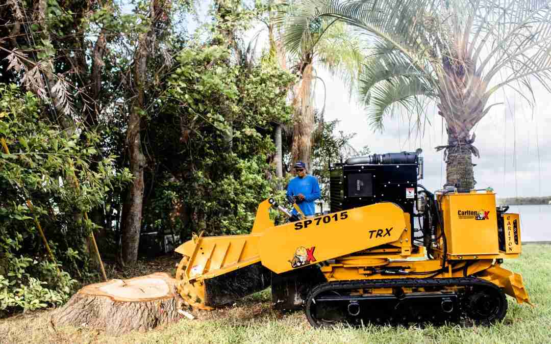 Why You Should Hire a Professional Instead of Renting a Tree Stump Grinder